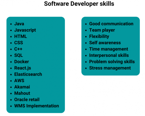 Software deals developer skills